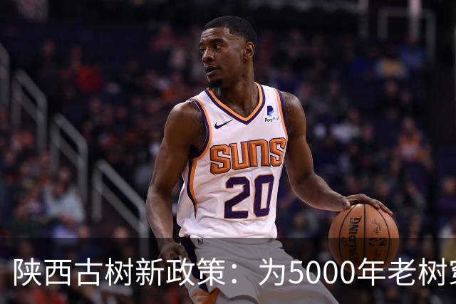 陕西古树新政策：为5000年老树穿上“保护衣